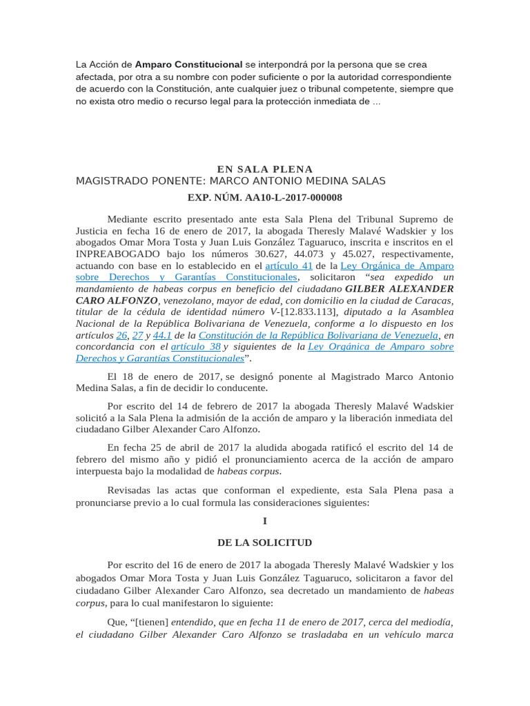 La Acción de amparo constitucional | PDF | Habeas corpus | Judicaturas