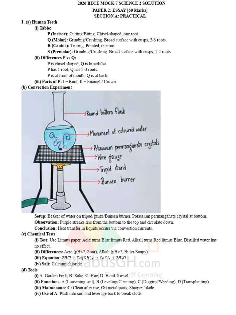 2026 Bece Mock Science 2 Solution | PDF | Dental Anatomy | Chemistry