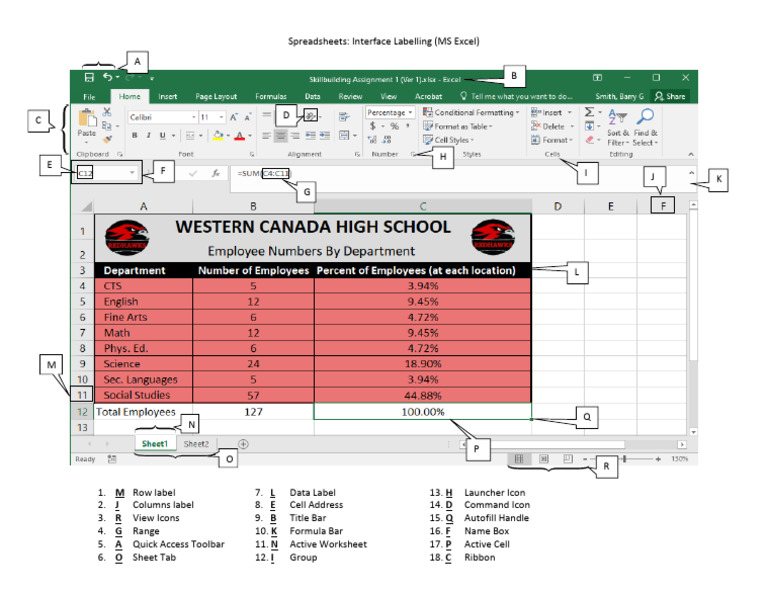 Label The Spreadsheet A (Key) | PDF