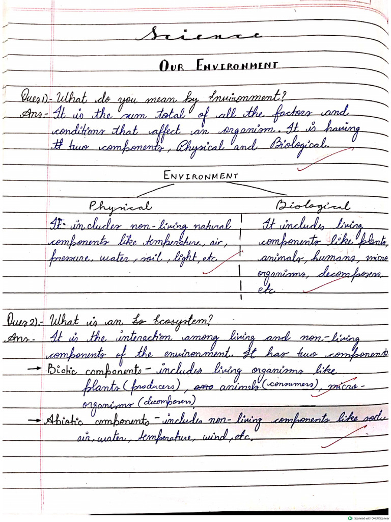 UPDATED Science Chapter 13 - Our Environment | PDF | Earth Sciences ...