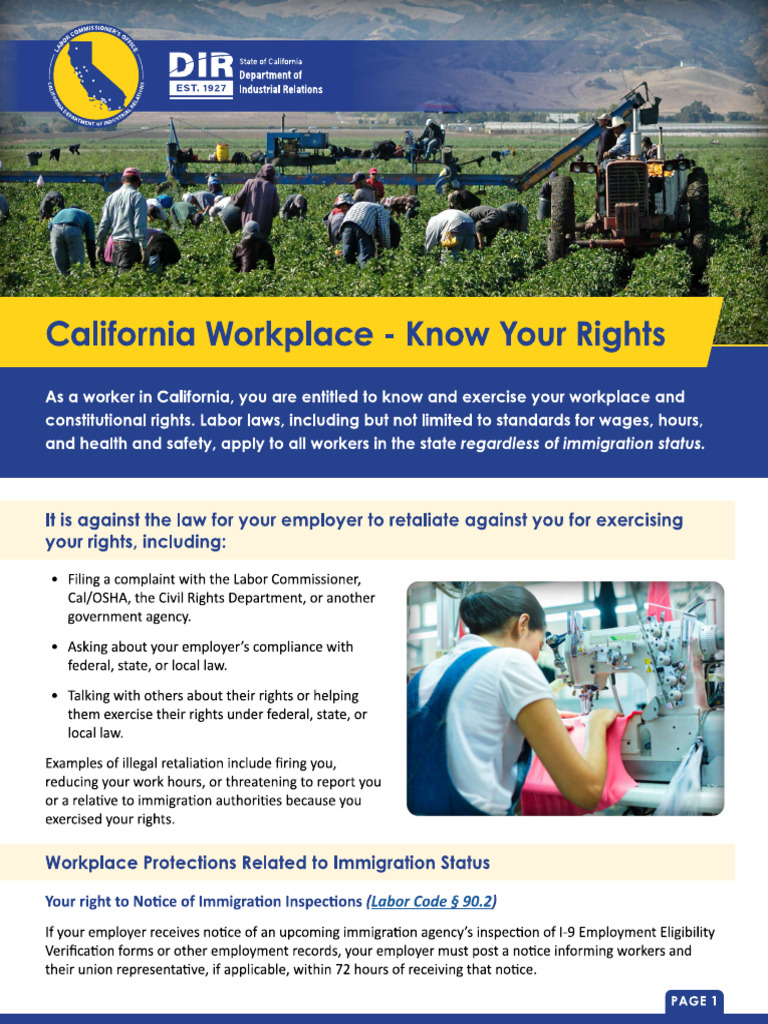 Know Your Rights | PDF