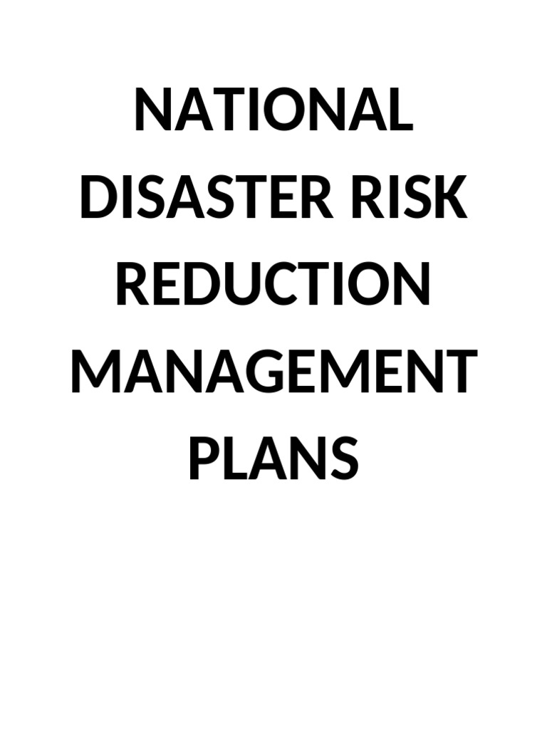 National Disaster Risk Reduction Management Plans | PDF