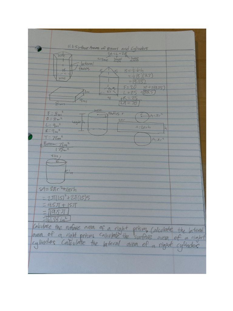 Unit 11 Notes | PDF