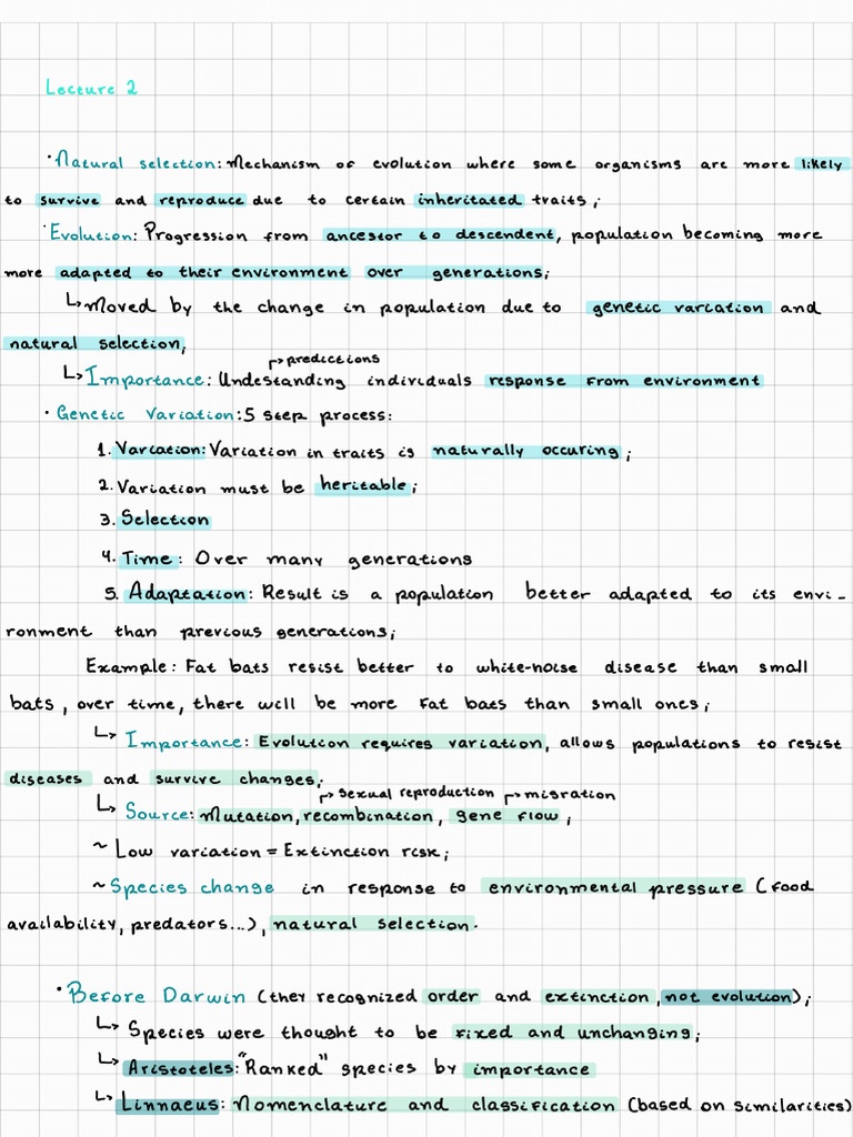 Lectures Summary | PDF