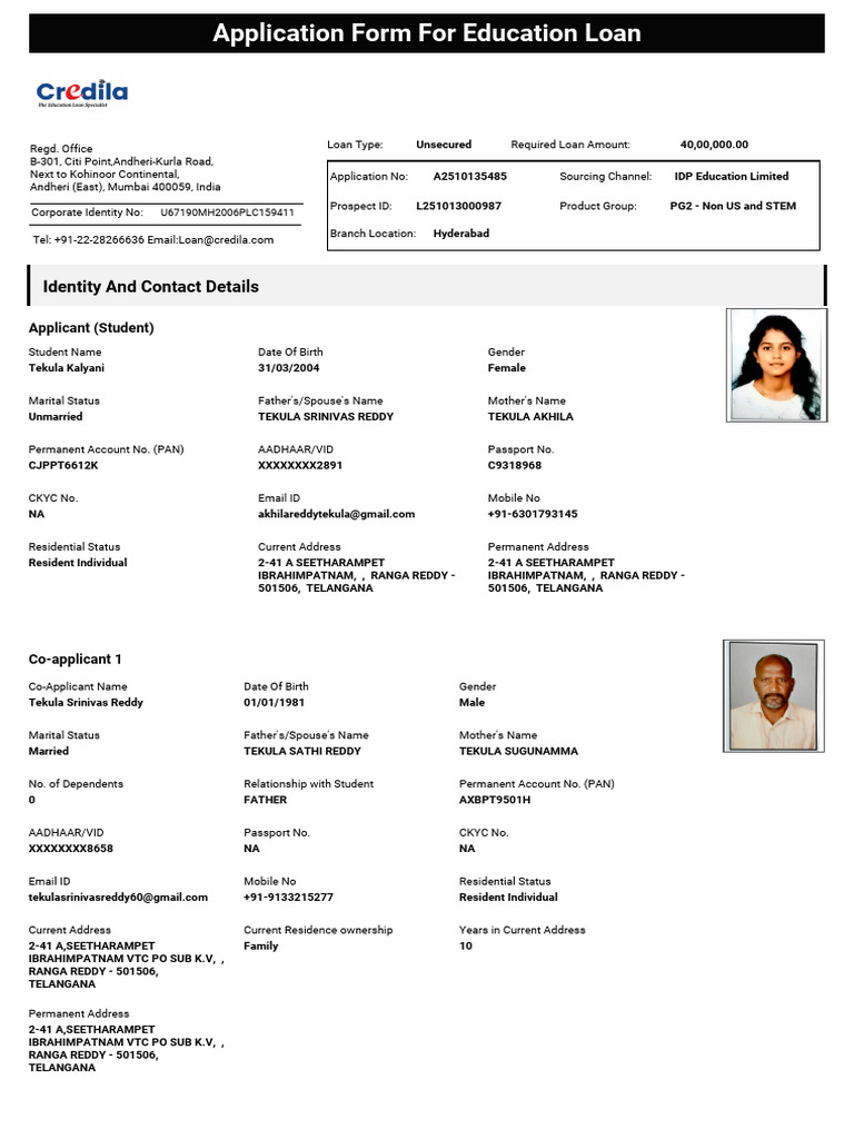 Loan Application Form | PDF | Loans | Credit Score