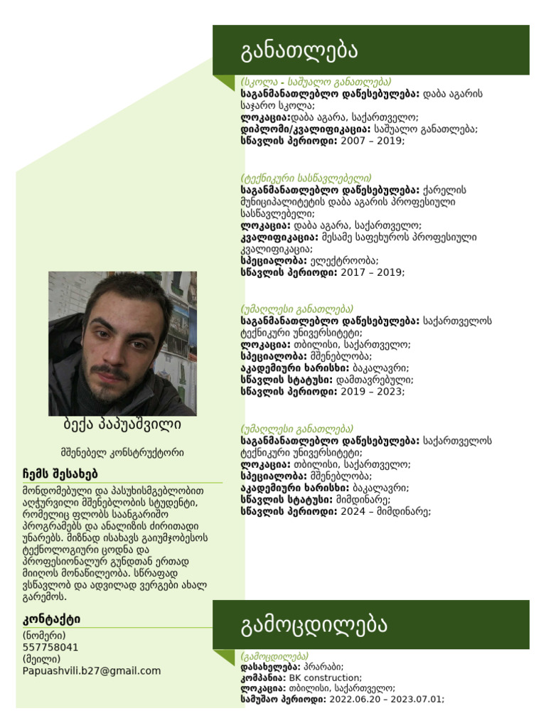CV ბ.პ. | PDF