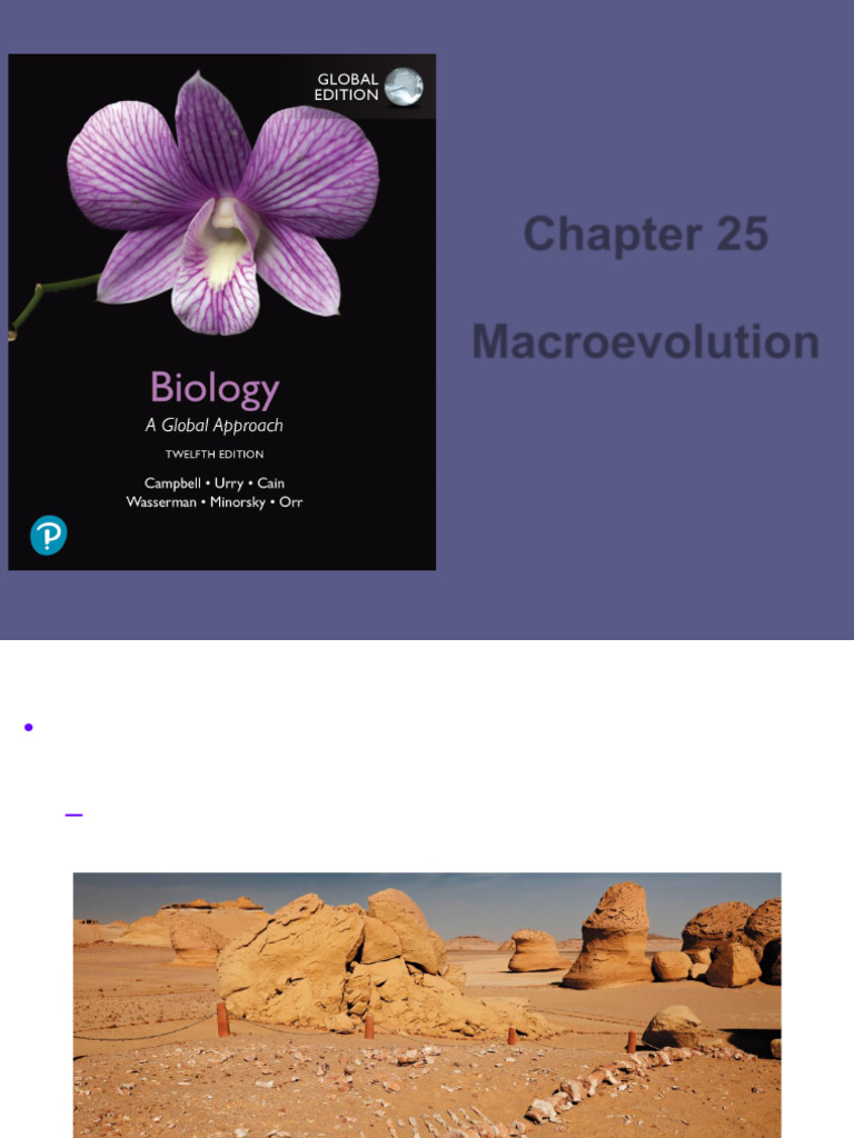 Lecture Presentation 25 251120 | PDF | Eukaryotes | Cell (Biology)