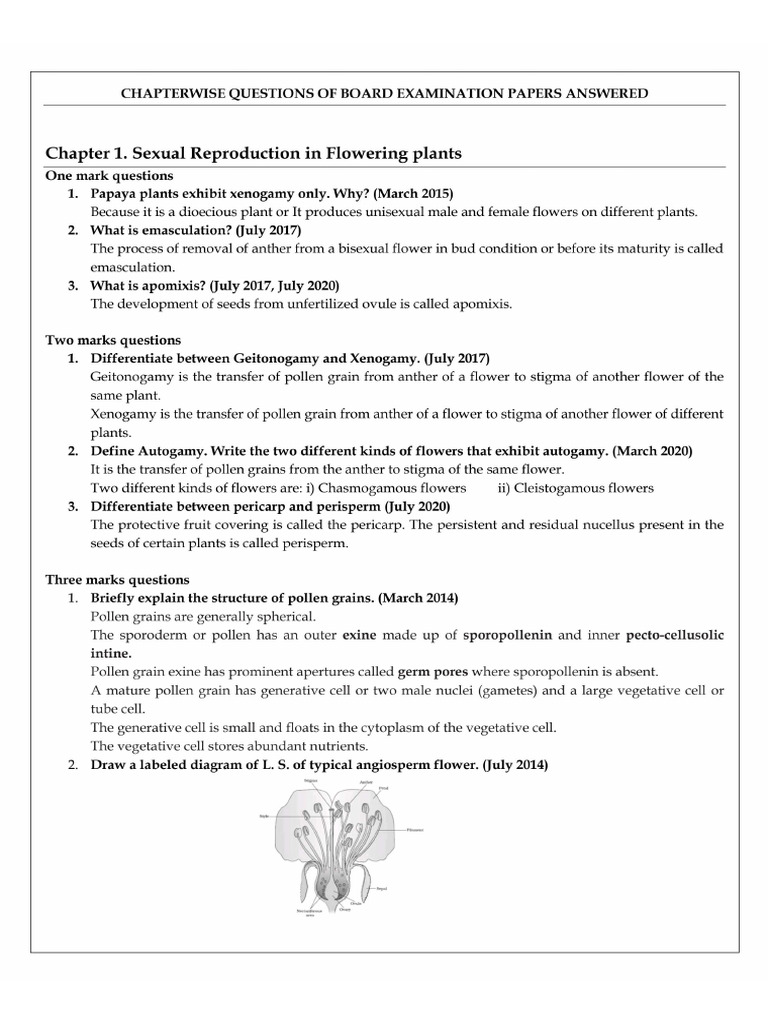 Chapterwise Questions of Board Papers Answered | PDF