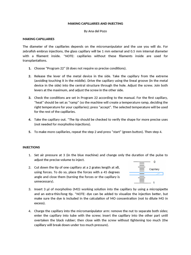 Capillaries&Amp Injections Protocol | PDF