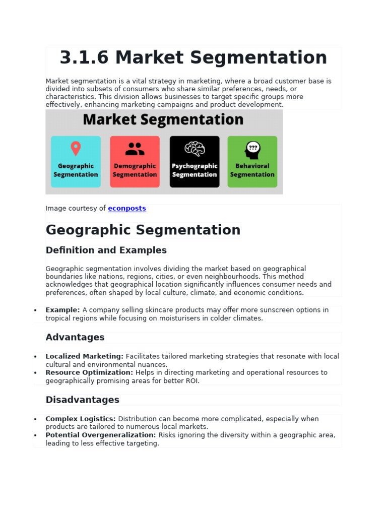 3.1.6 Market Segmentation | PDF | Market Segmentation | Marketing