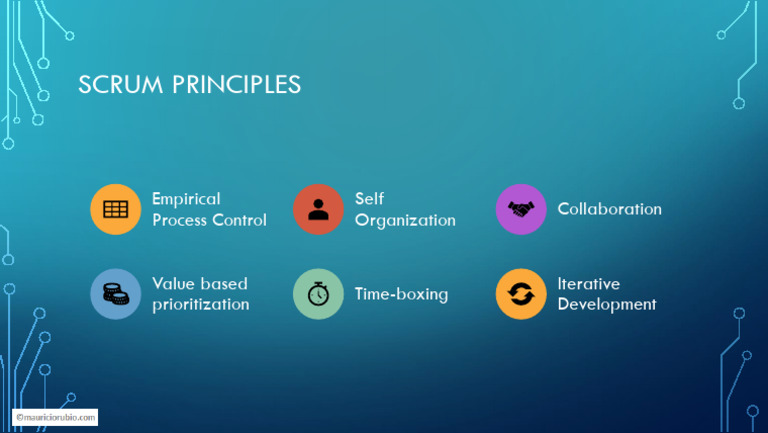 Scrum Principles | PDF