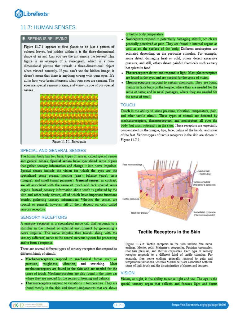 9 Sensory and Motor Mechanisms | PDF | Senses | Skeleton