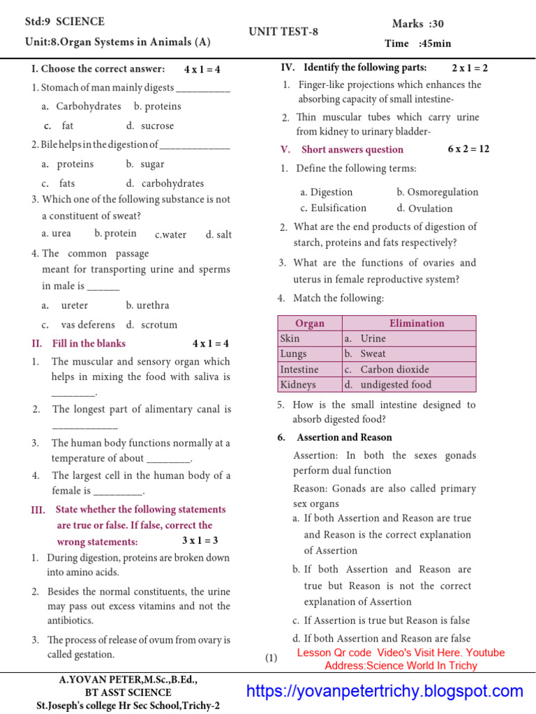 9th Science Unit 8A Test EM (Term - 2) | PDF | Digestion | Human Body