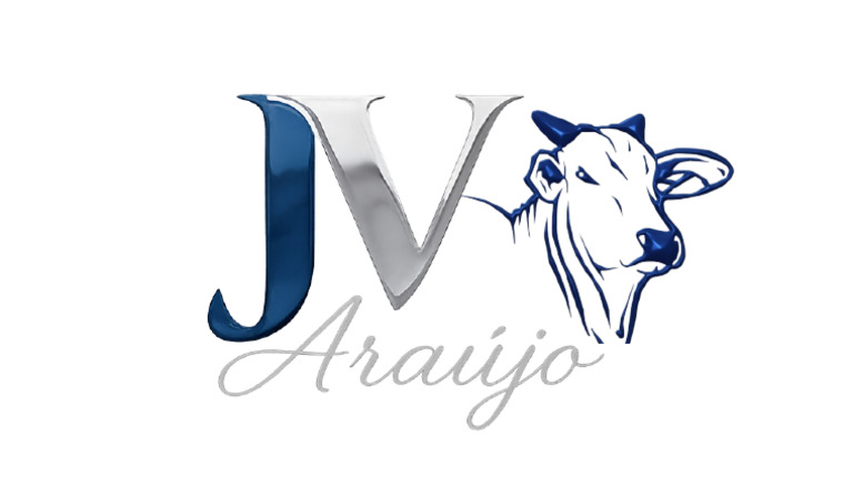 JVV | PDF