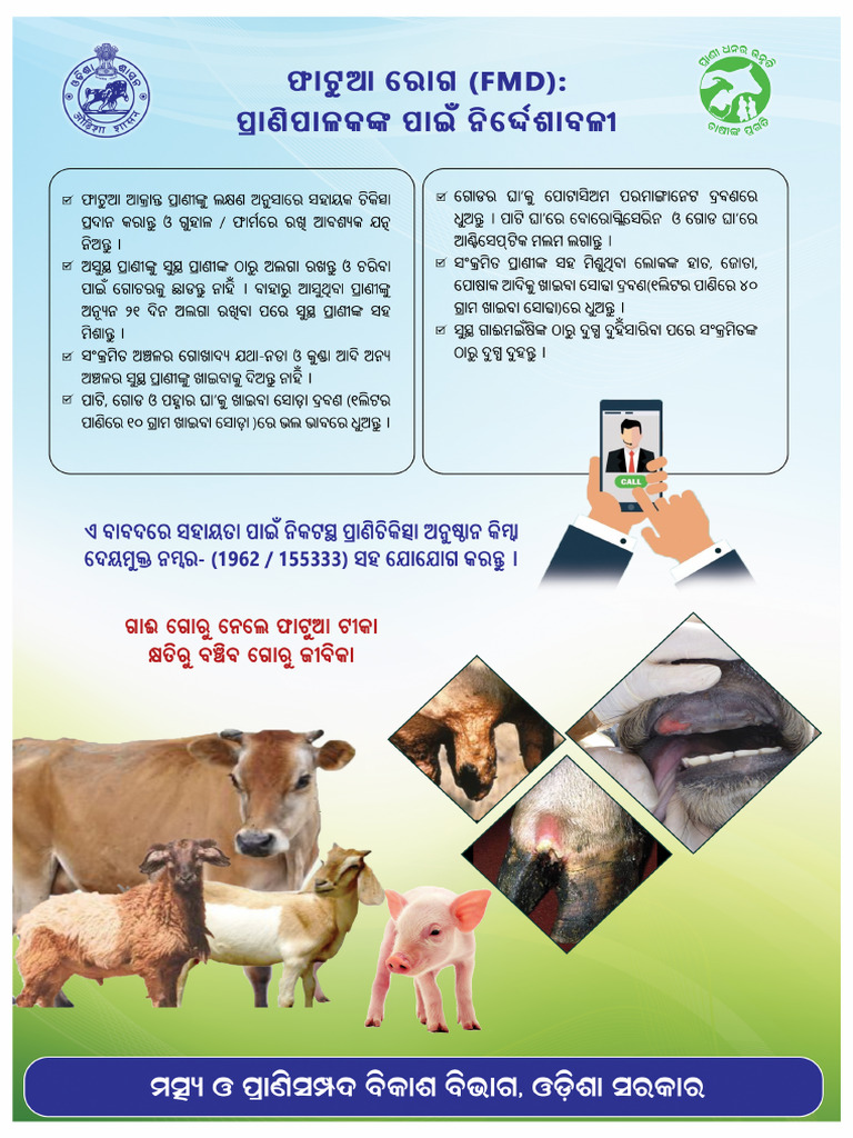 FMD Leaflet Color A4 | PDF