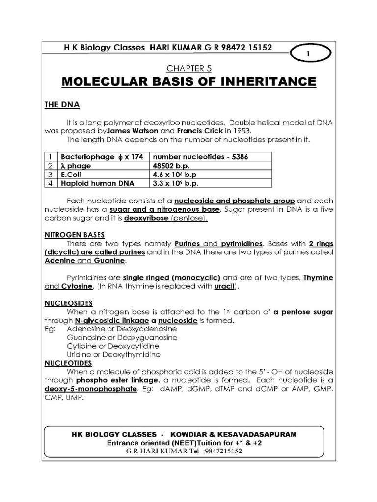 Mol Bio 1 | PDF