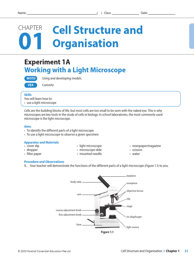 Cell Structure and Organsiation Practical WB | PDF