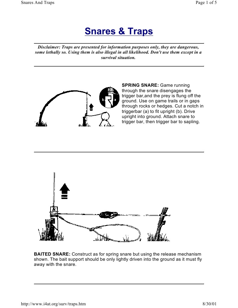 Trapping Snares - How Do You Use One?