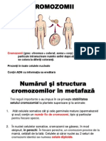 4. Cromozomii