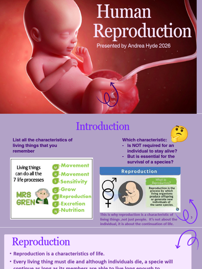 Presentation - Understanding Human Reproduction | PDF | Menstrual Cycle ...