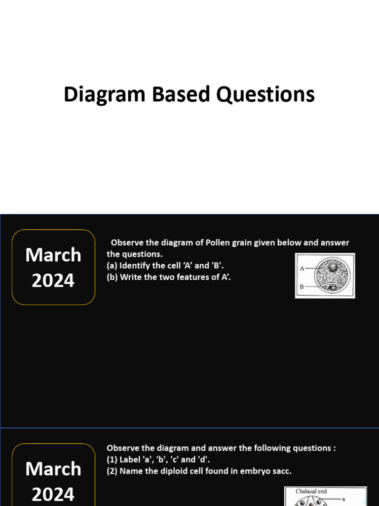 +2 Diagram Based Questions | PDF | Molecular Cloning | Dna