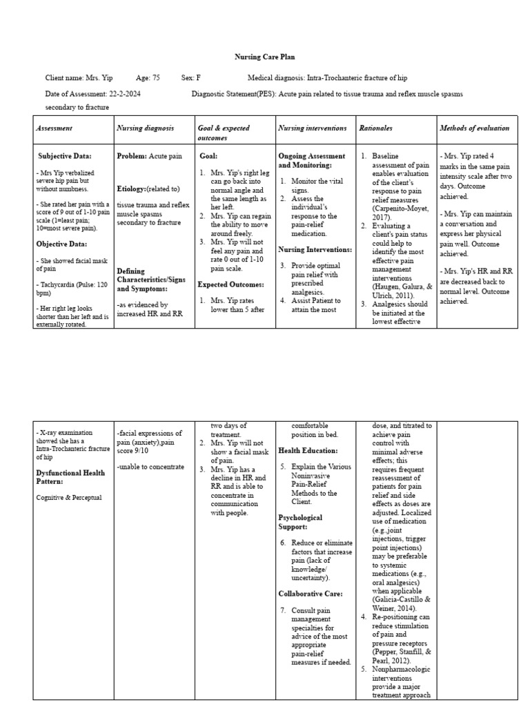 NURS1162 - Nursing Care Plan 2 | PDF | Pain | Pain Management