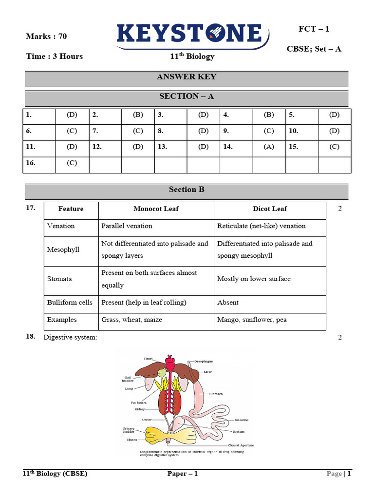 11th CBSE BIOLOGY FCT 1 TEST PAPER - 040226 - ANSWERKEY | PDF ...