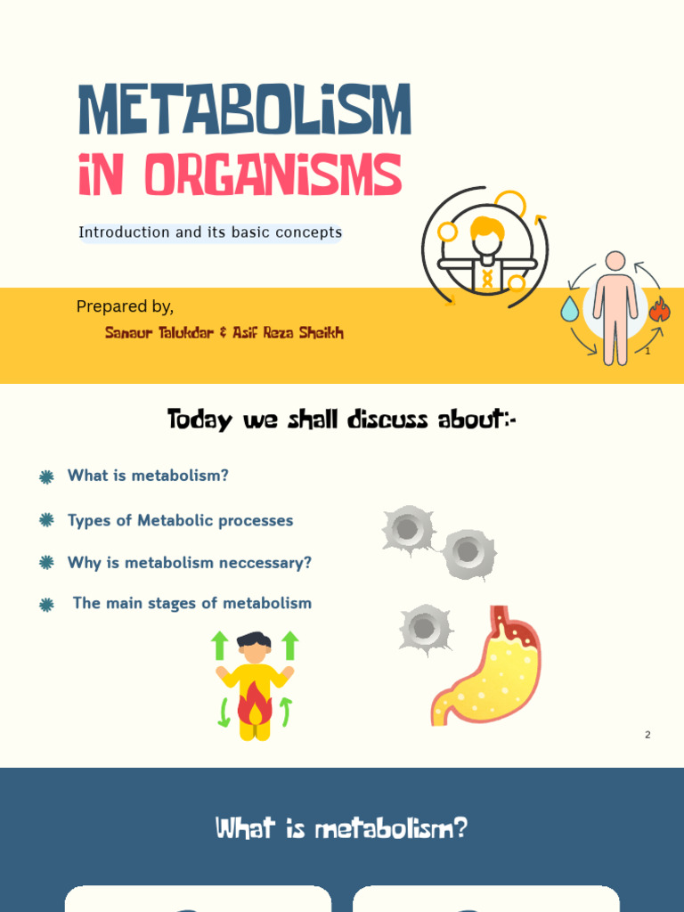 Introduction To Metabolism - Sanaur Talukdar PDF | PDF | Metabolism ...
