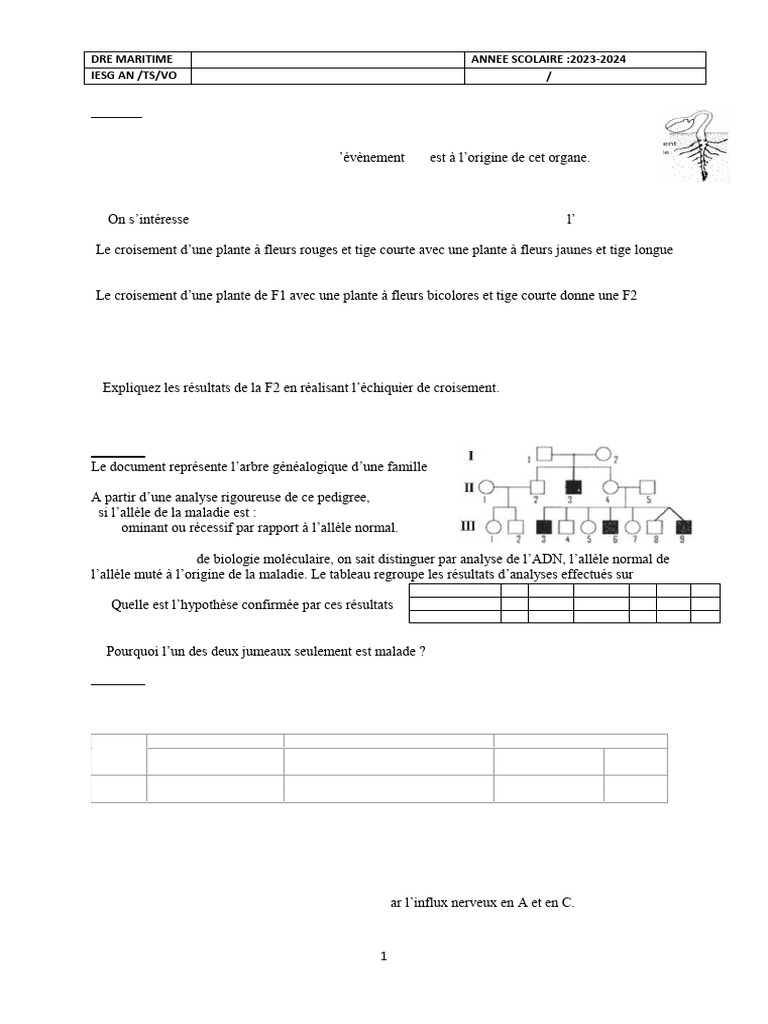 Ilide - Info Proposition Compo2 Reg SVT Tled PR | PDF | Dominance ...