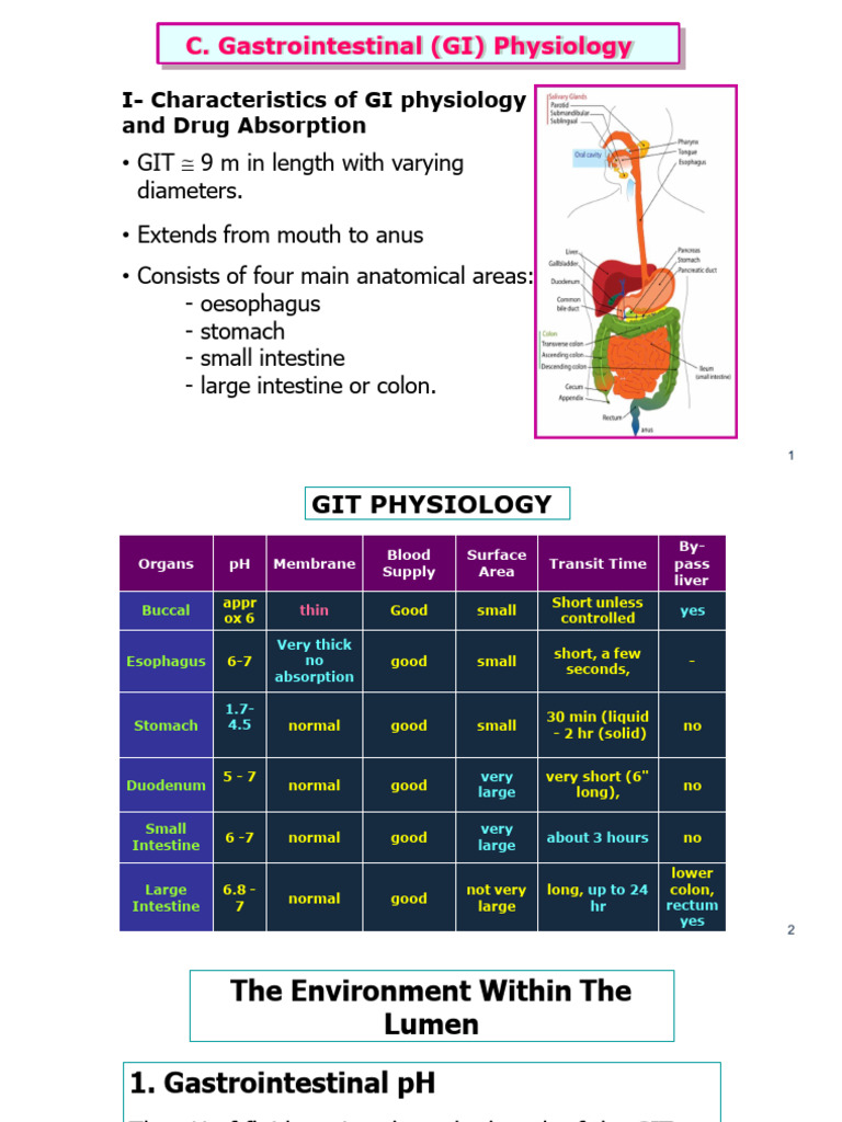 C. Gastrointestinal (GI) Physiology | PDF | Gastrointestinal Tract ...