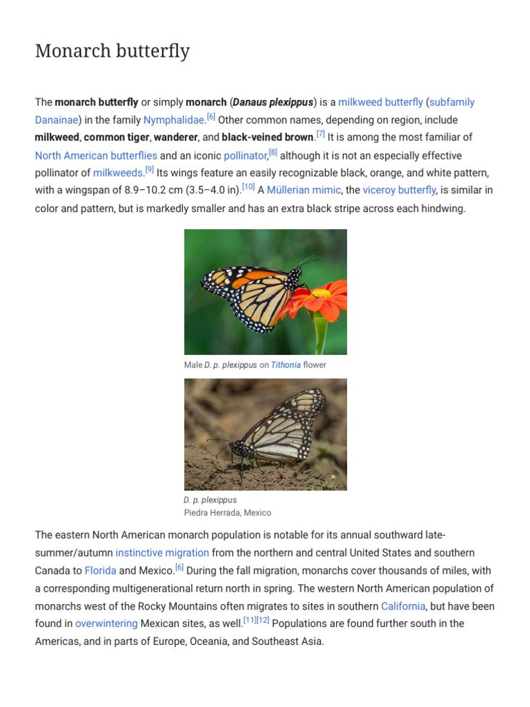 Monarch Butterfly - Wikipedia | PDF | Pupa
