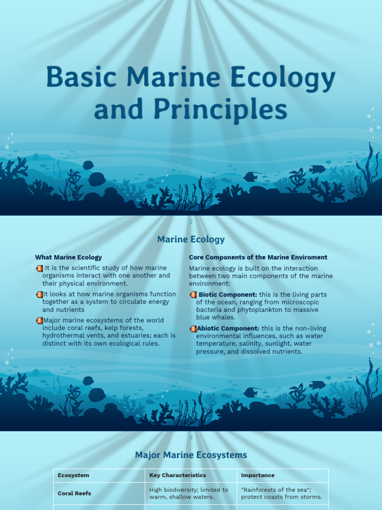 Basic Marine Ecology & Principles | PDF | Primary Production | Ecology