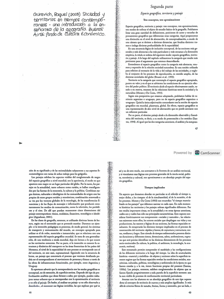 Raquel Gurevich - Espacio Geográfico - Territorio y Paisaje | PDF