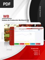 Manual de Uso del Sistema PLEX 25 | PDF