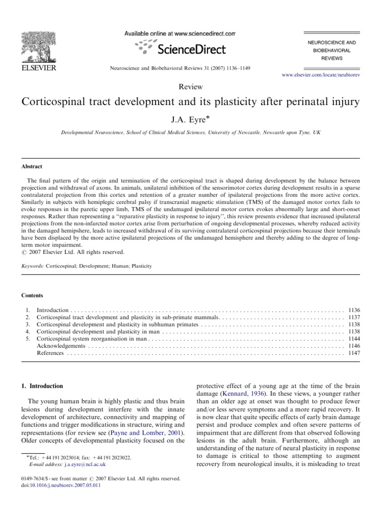 Corticospinal Tract Development and Its Plasticity After Perinatal ...
