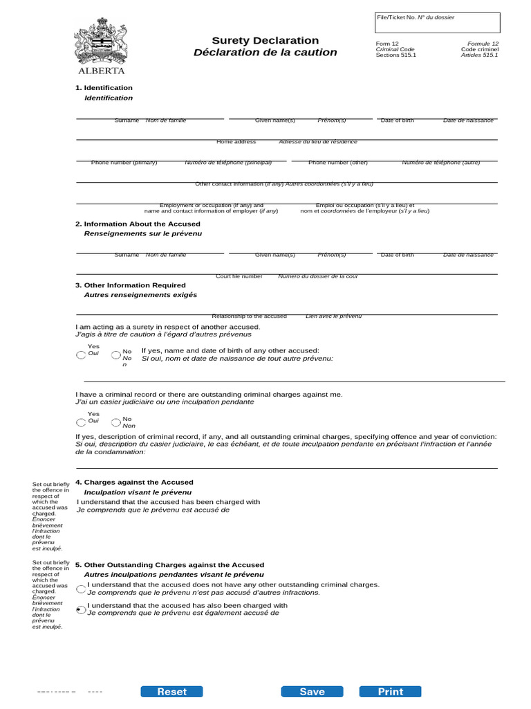 Form 12 Surety Declaration | PDF