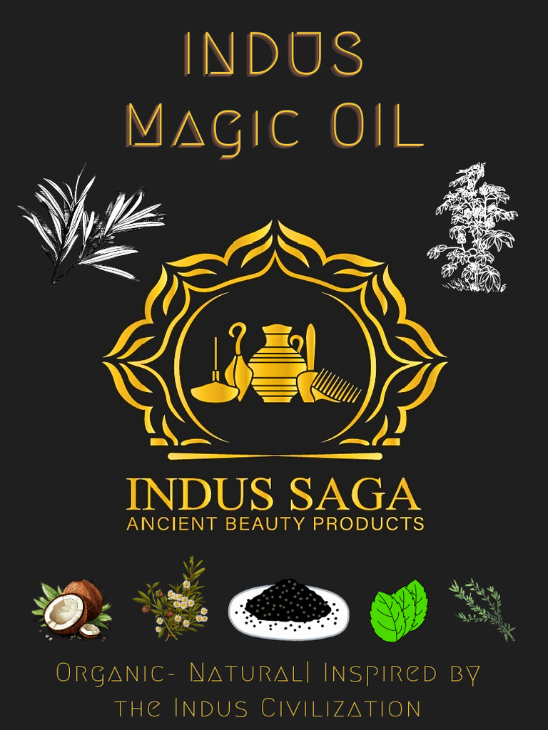 Indus 2 | PDF
