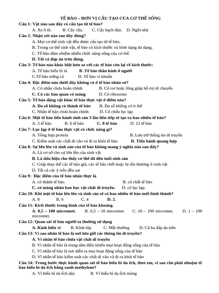 T NG H P | PDF