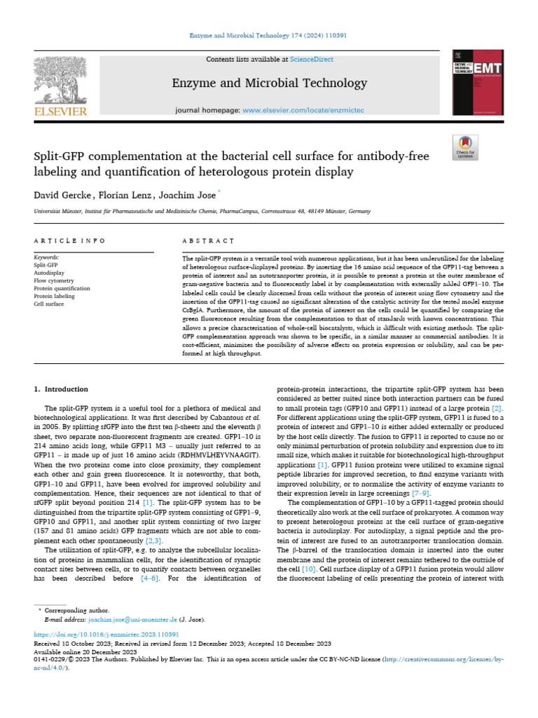 Split-GFP Complementation at The Bacterial Cell Surface For Antibody ...