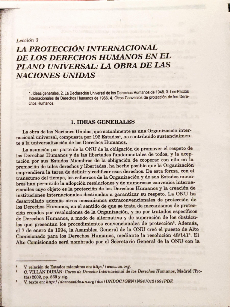 La proteccion internacional de los DDHH en el plano universal. La obra ...