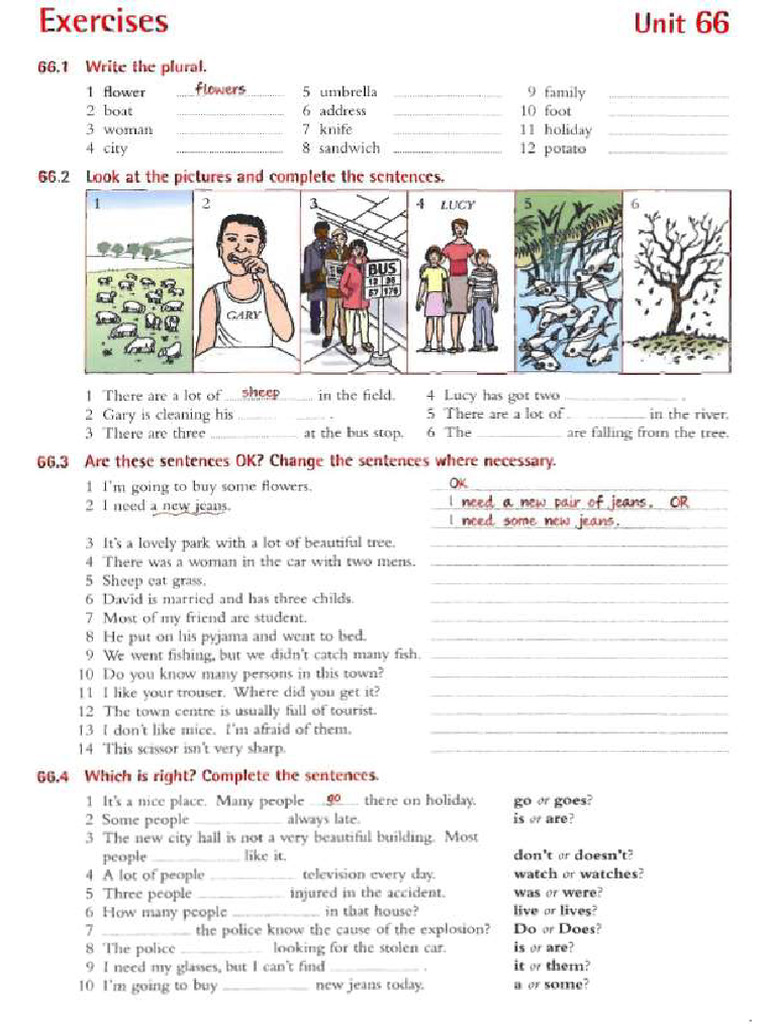 Evidence 9 Plural Exercises Resueltos | PDF
