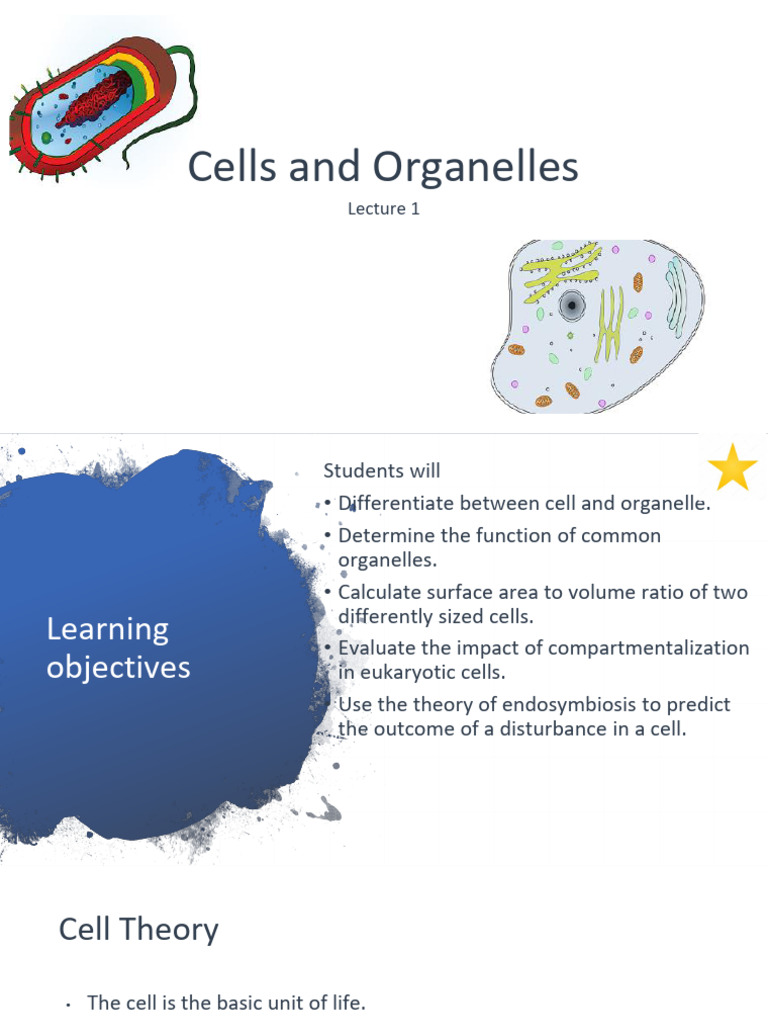 Biol113 Lec 1 Cells and Organelles S | PDF | Cell (Biology) | Organelle