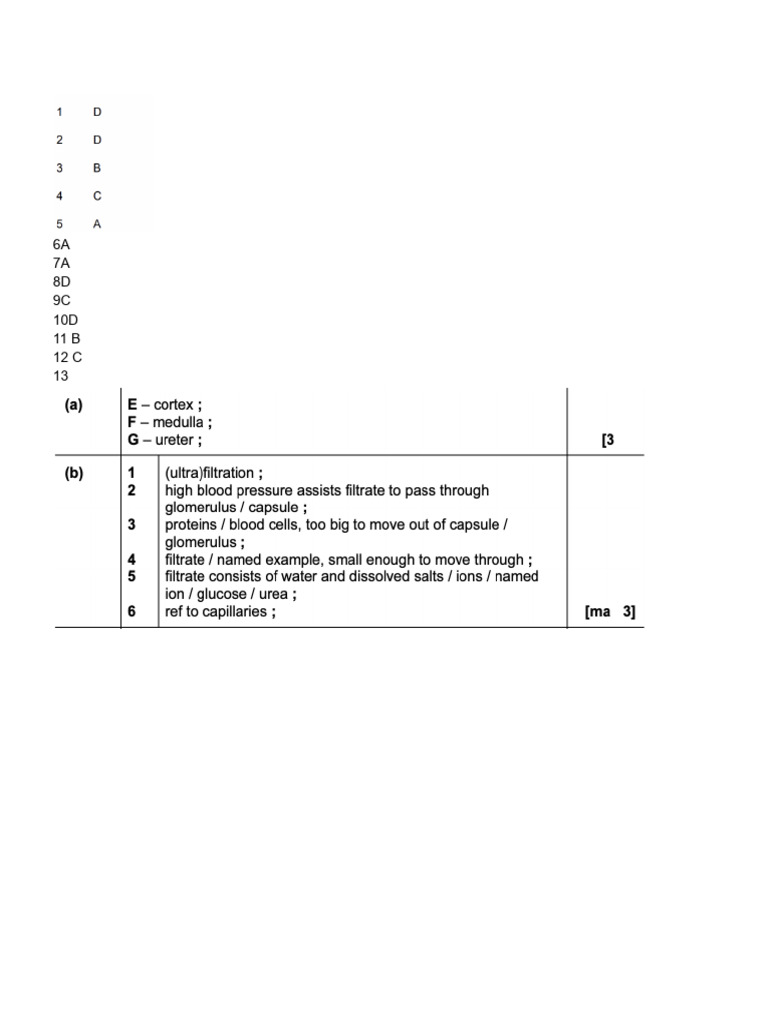 Chapter 12 MS | PDF