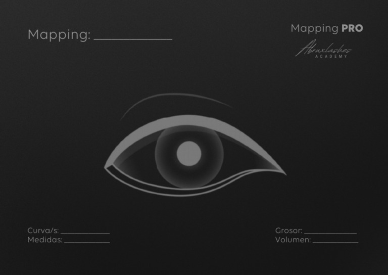 Mapping PRO | PDF
