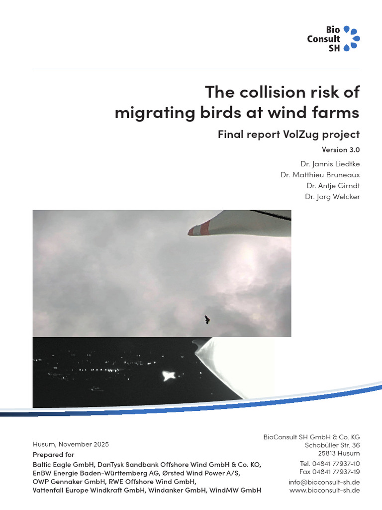 The Collision Risk of Migrating Birds at Wind Farms | PDF | Turbine ...