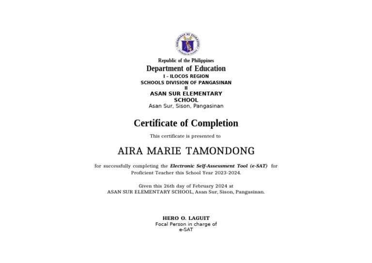 e-SAT Cert | PDF