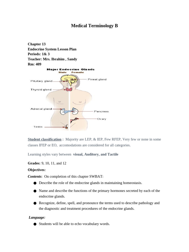 Ch.13 Endocrine System | PDF | Endocrine System | Thyroid