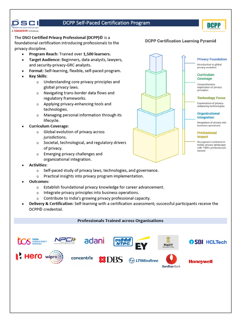 DCPP Flyer | PDF