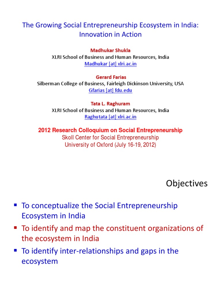 National Social Entrepreneurship Forum Insights | PDF | Startup Company ...