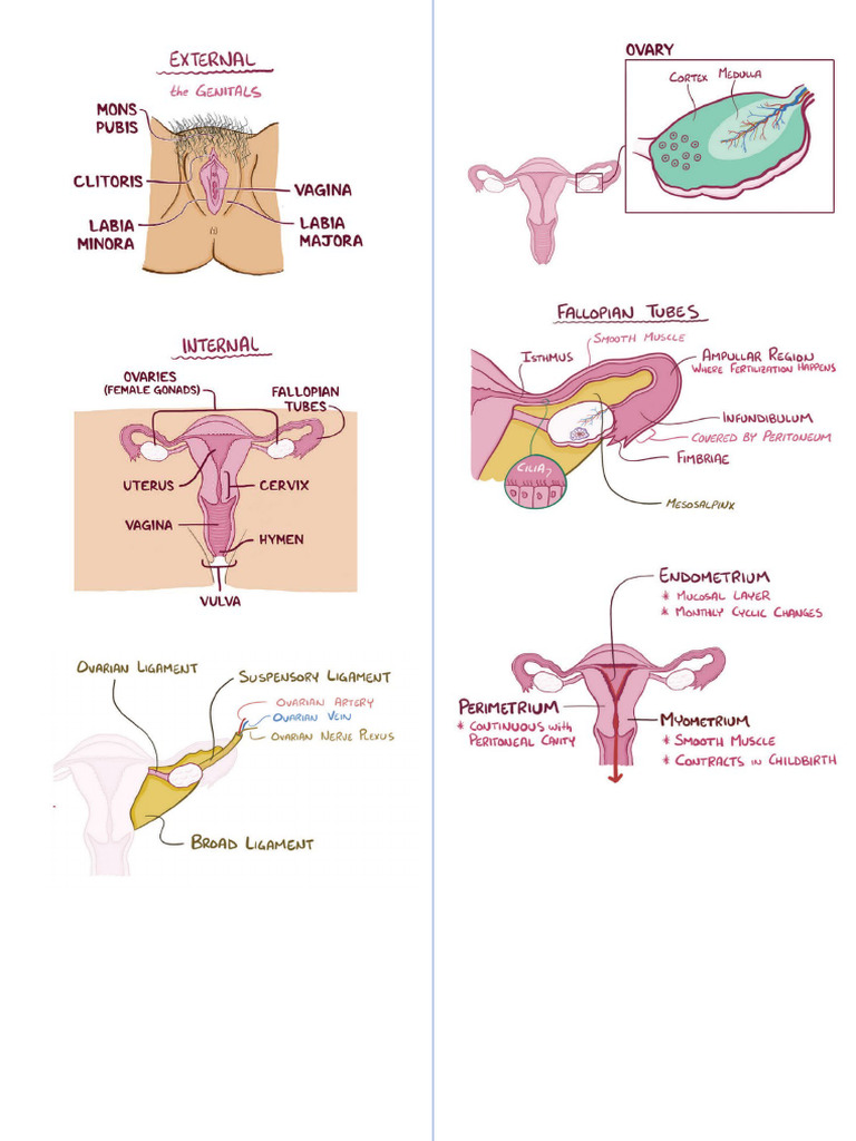 2 | PDF